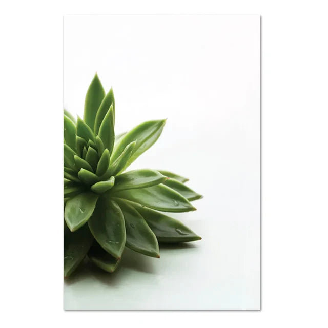 Cactus Eucalyptus Tropical Green Botany Wall Art Fine Art Canvas Prints Pictures For Living Room Kitchen Dining Room Home Decor | Bowlift