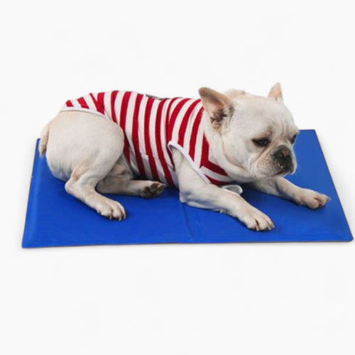 Aircooly Frenchie Cooling Bed – Non-Icy Soft Breathable Summer Gel Cool Mat | Bowlift