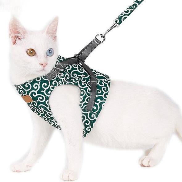 BowLift | Cat vest harness and leash set for walks