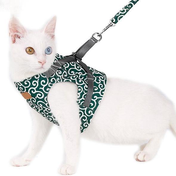 Collar jacket and leash for cat | Bowlift
