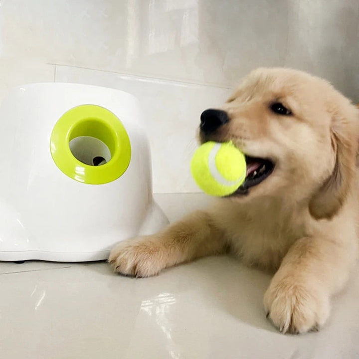 PlayBolt Automatic Ball Launcher for Dogs | Bowlift