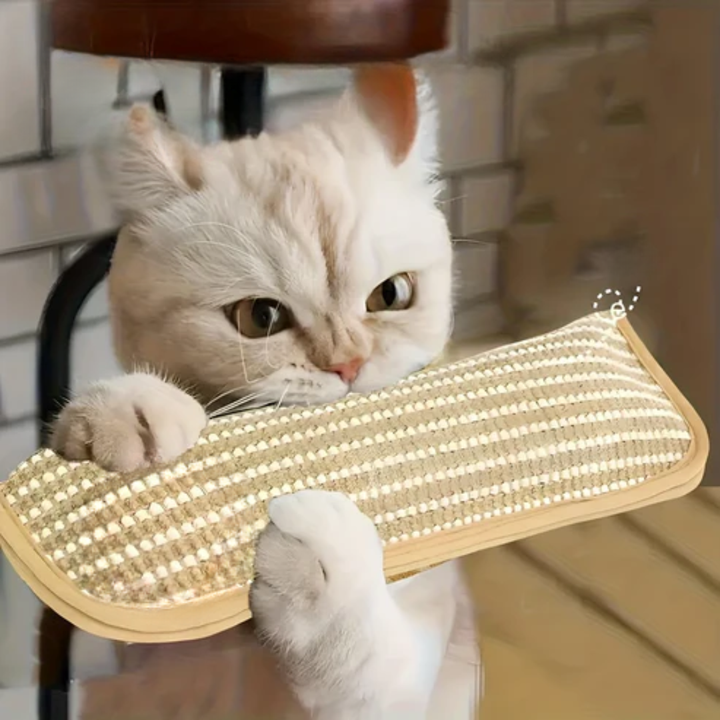 Scratching pillow for cats with catnip durable and sturdy Bowlift