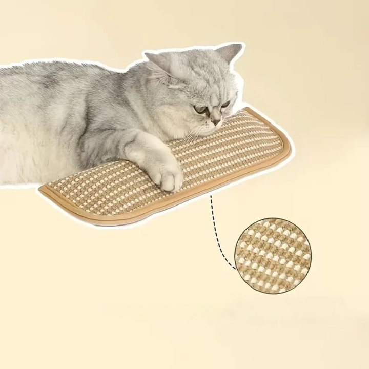 Scratching pillow for cats with catnip durable and sturdy Bowlift