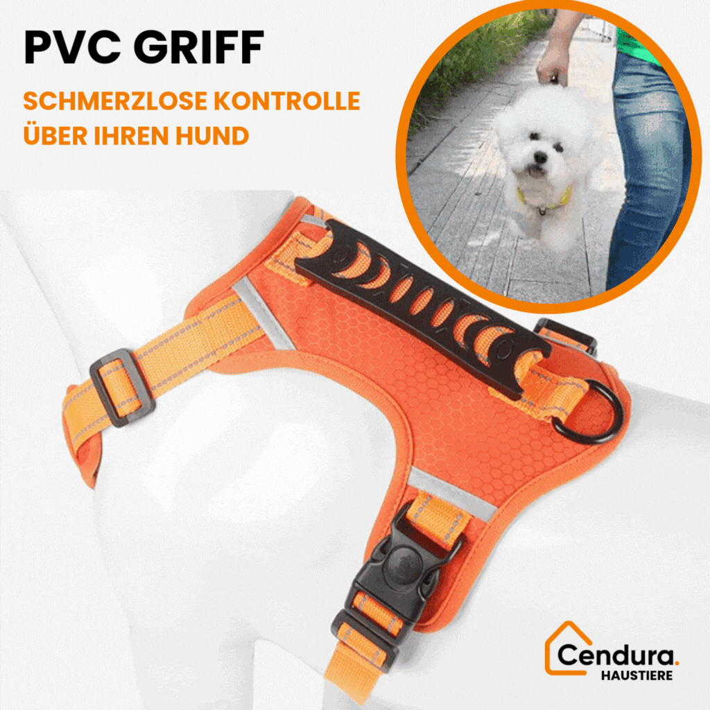 HappyHund Safety Harness Reflective | Bowlift