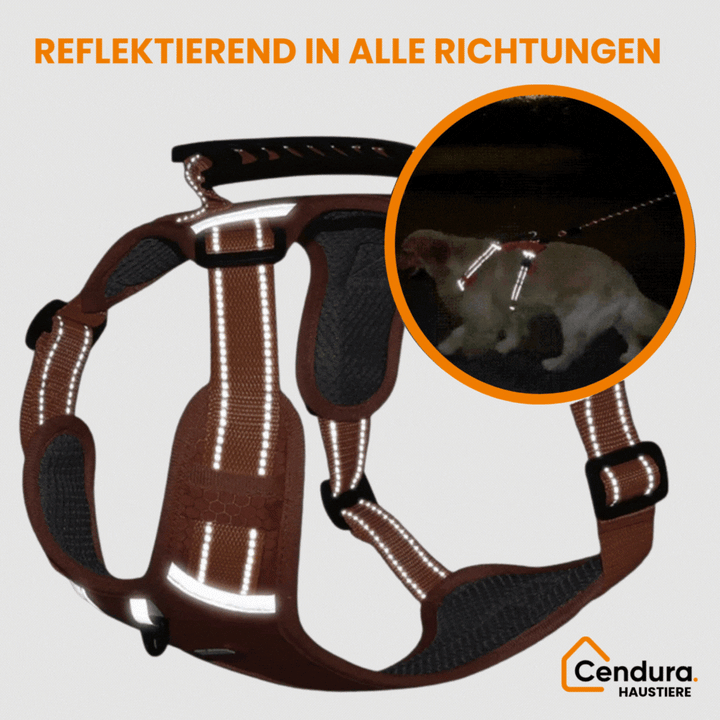 HappyHund Safety Harness Reflective | Bowlift