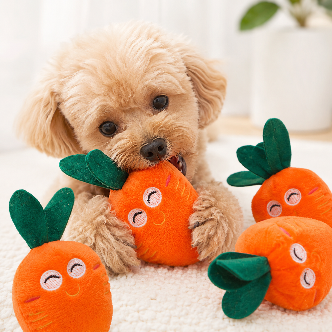 Plush carrot catnip toy for cats with embroidered smiling face and double leaf topper Bowlift