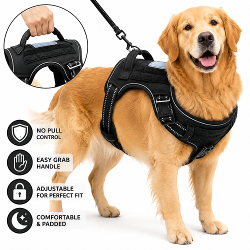 Padded no-pull tactical dog harness with sturdy handle and reflective trim Bowlift