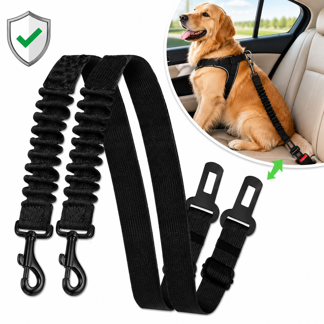 Adjustable Pet Car Safety Tether with Seatbelt Anchors and Heavy-Duty Swivel Clips Bowlift