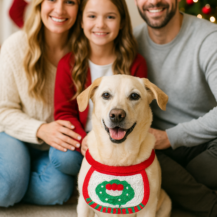 Christmas outfits for dogs Bowlift