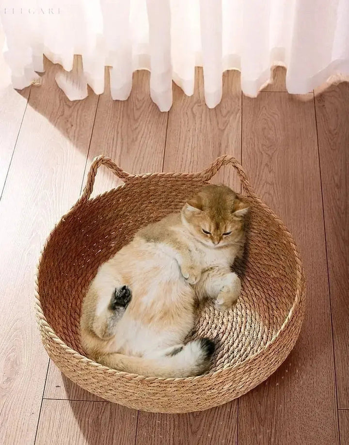 BowLift | Cozypets – Super soft and comfortable cat bed