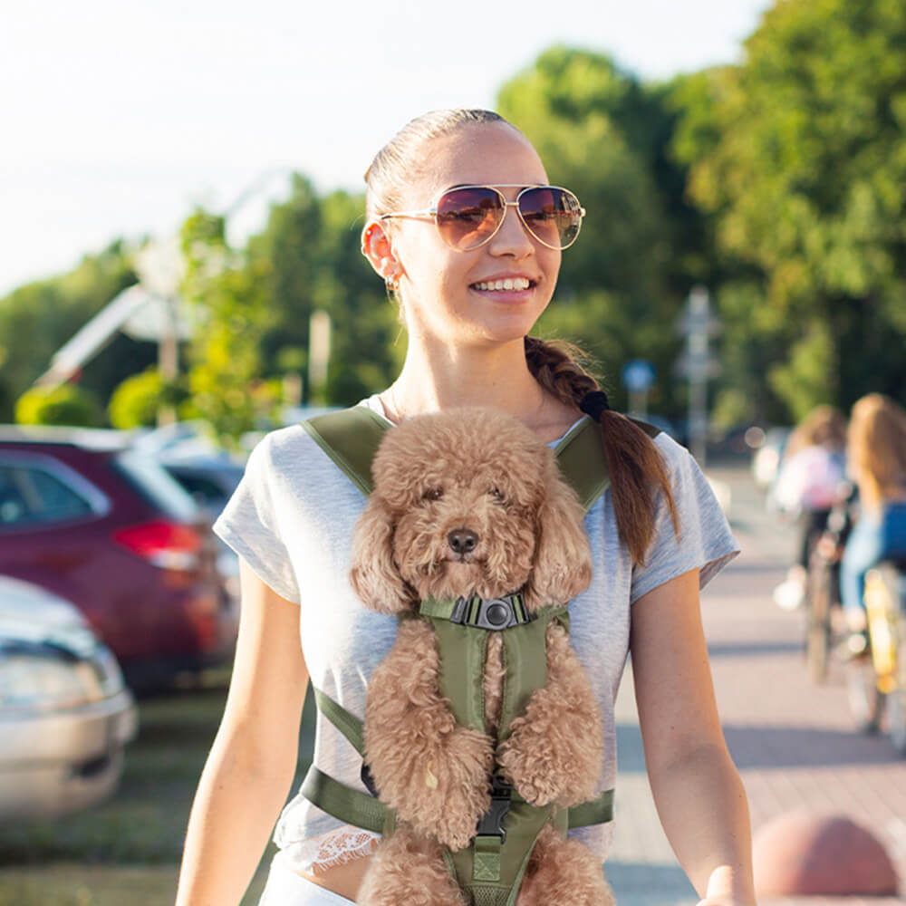 BowLift | Cockpit Dog Bag – Comfortable Carry Bag for Small Dogs