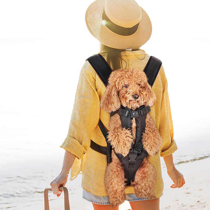 BowLift | Cockpit Dog Bag – Comfortable Carry Bag for Small Dogs