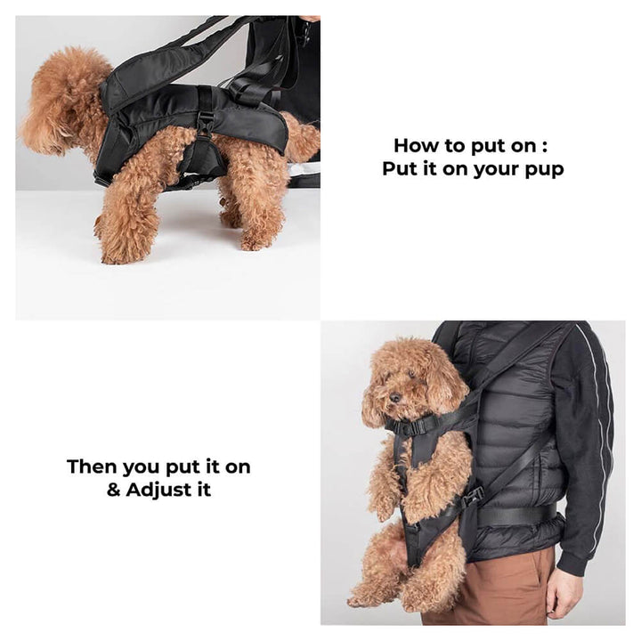 BowLift | Cockpit Dog Bag – Comfortable Carry Bag for Small Dogs