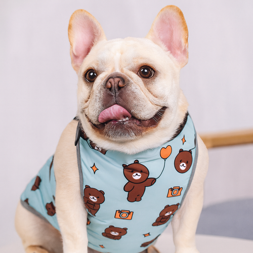 CooLie Frenchie Cooling Vest – Summer Belly Protection Comfort | Bowlift