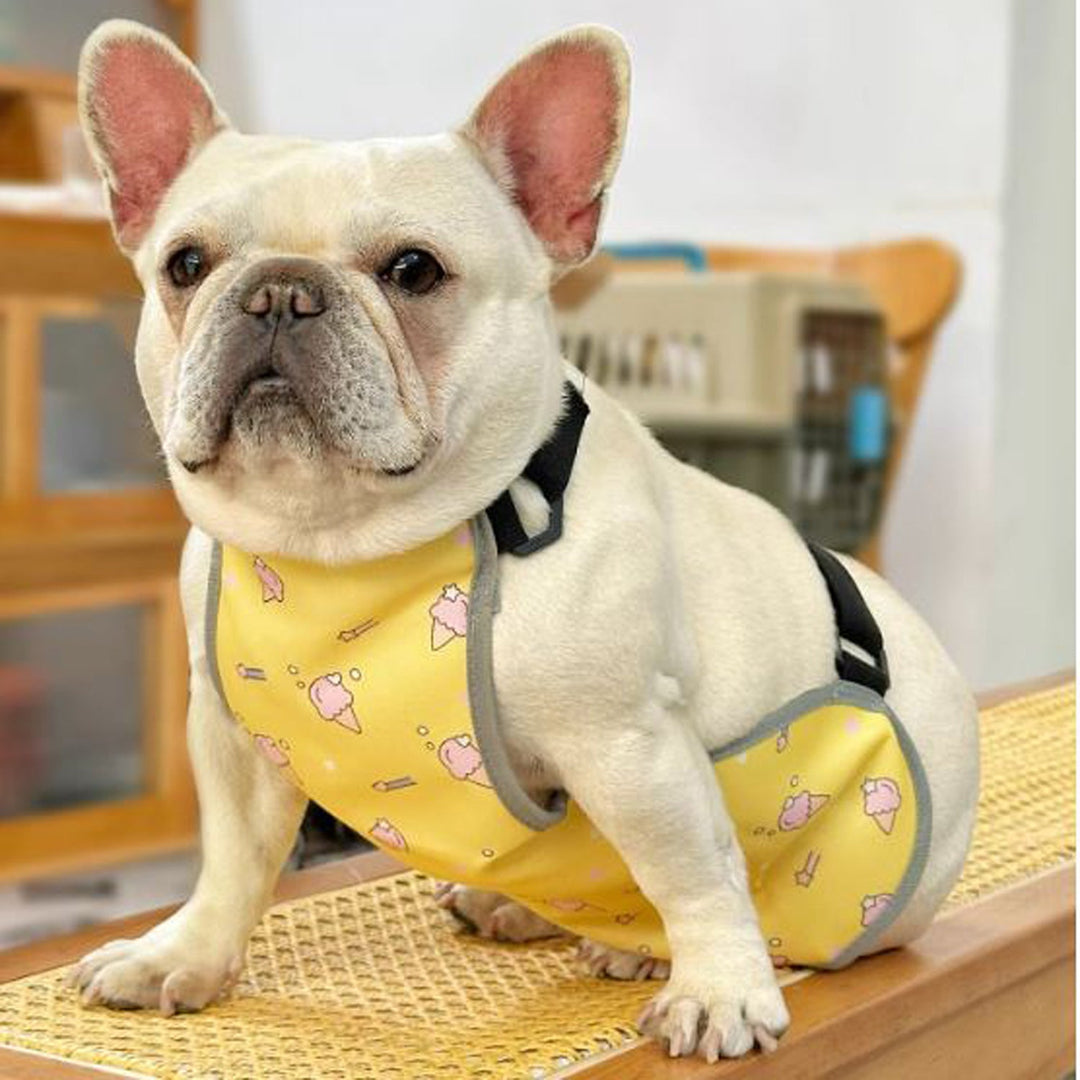 CooLie Frenchie Cooling Vest – Summer Belly Protection Comfort | Bowlift