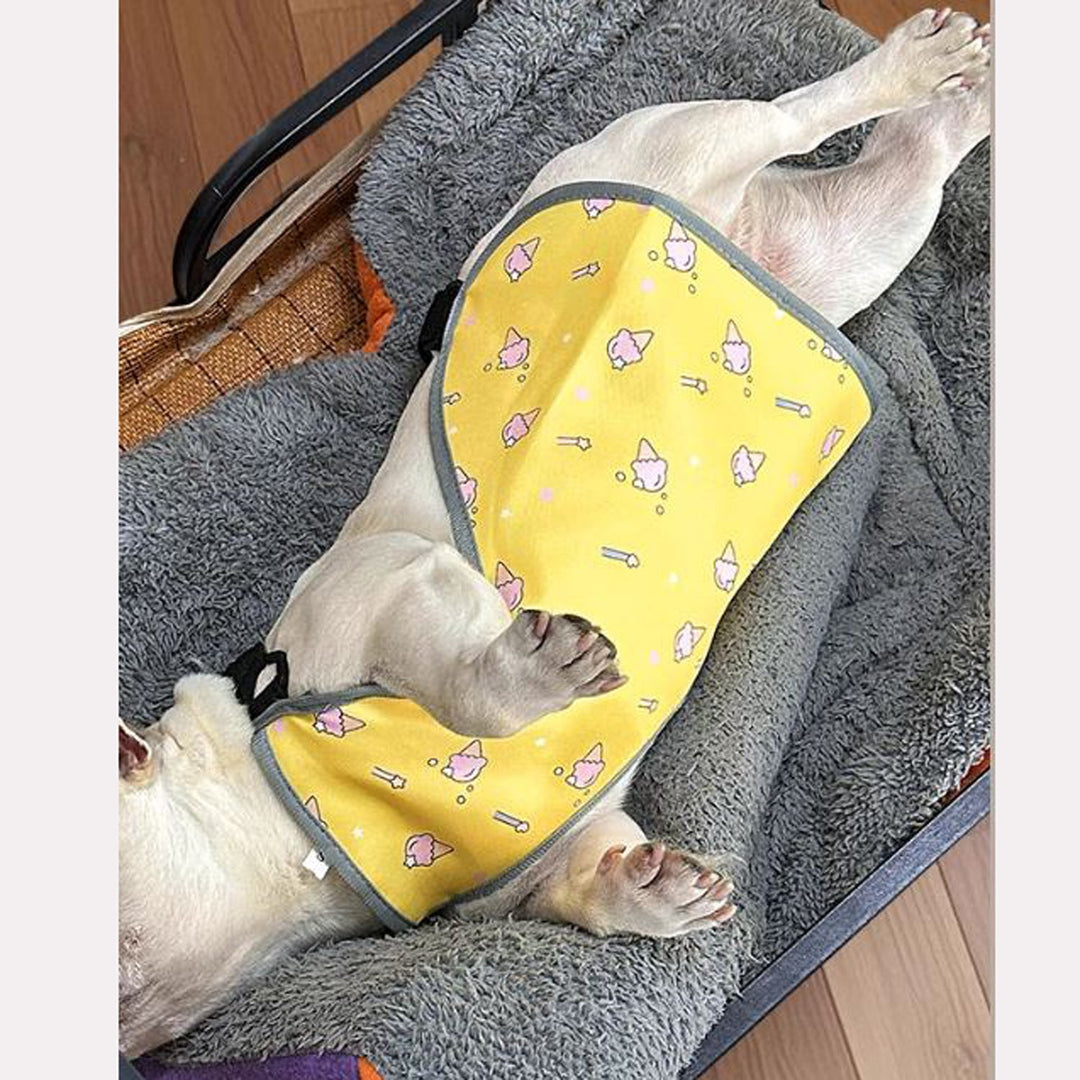 CooLie Frenchie Cooling Vest – Summer Belly Protection Comfort | Bowlift