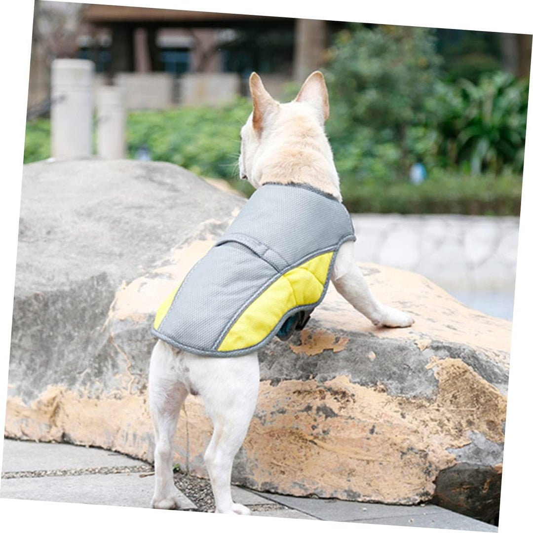 Coolify™ : Cooling Vest for Frenchie (CS13) | Bowlift