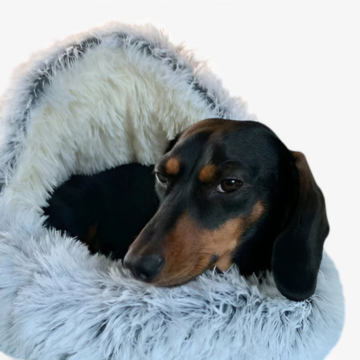 BowLift | Soft Winter Pet Bed with Washable Cover and Non-Slip Base