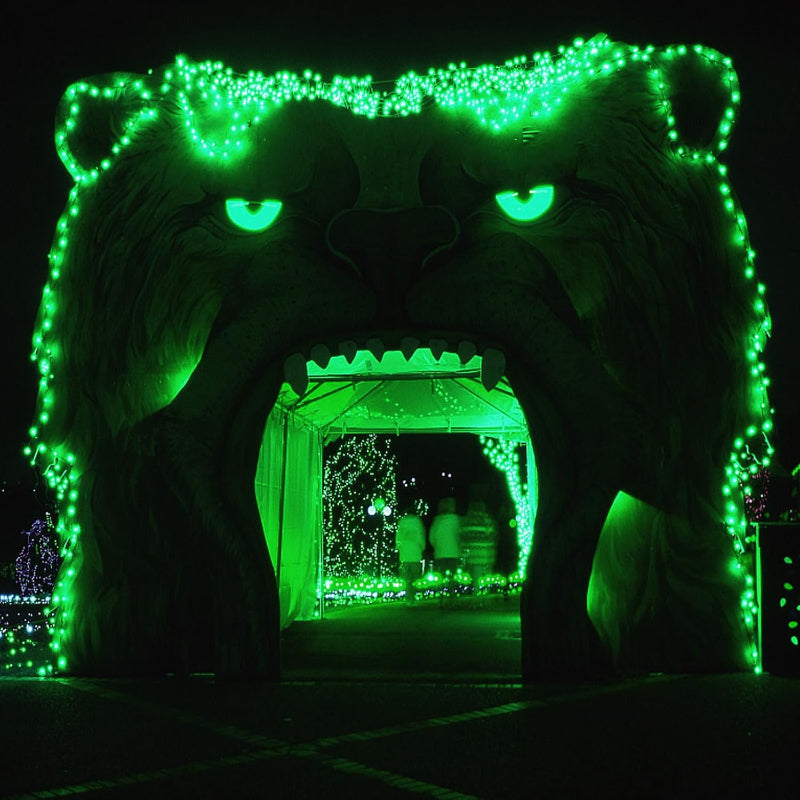 BowLift | Lamps for curtains with modes and waterproof design