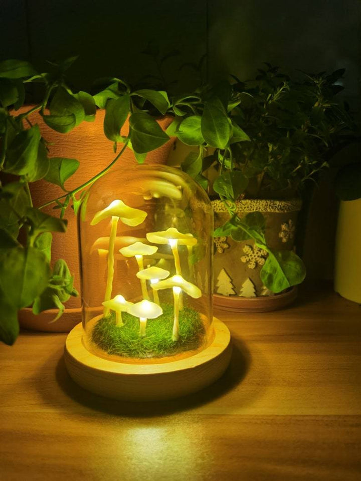 BowLift | Home cultivation with a touch of magic