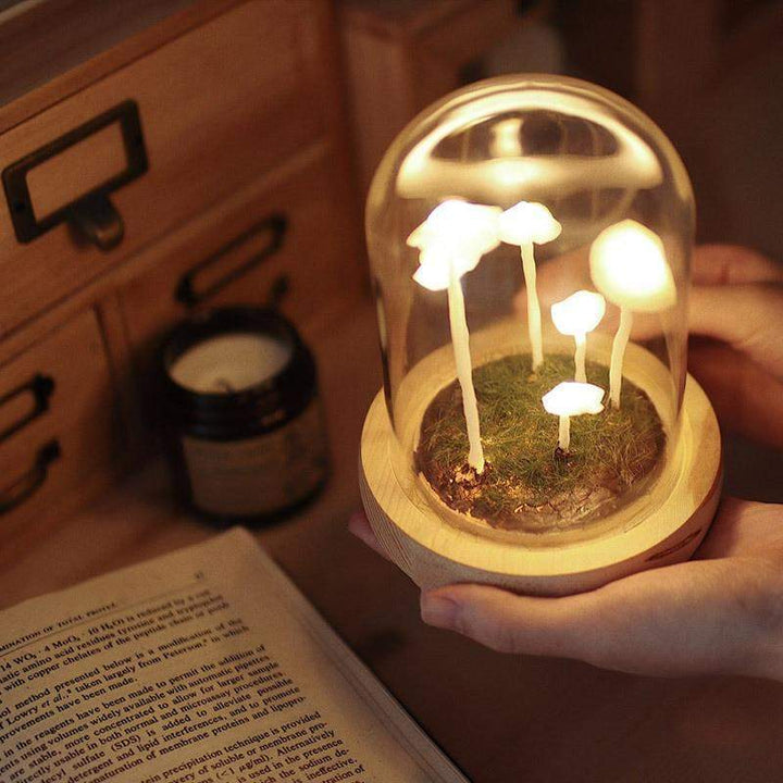 BowLift | MycoJar - Make your own mushrooms - Natural glass DIY - Awaken your creativity