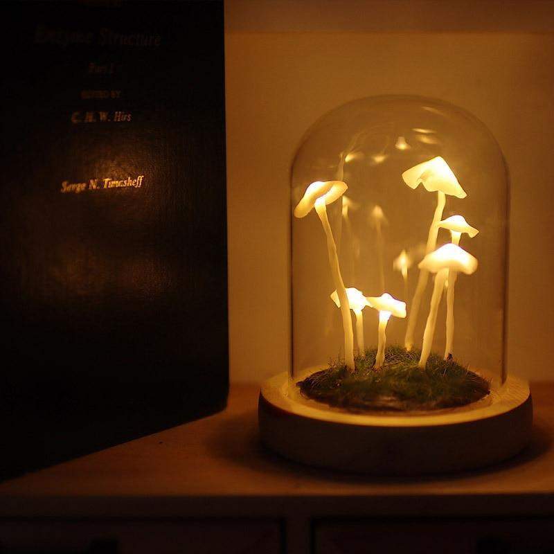 BowLift | MycoJar - Make your own mushrooms - Natural glass DIY - Awaken your creativity