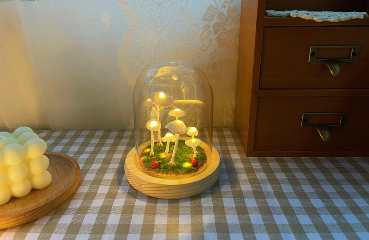 BowLift | Home cultivation with a touch of magic