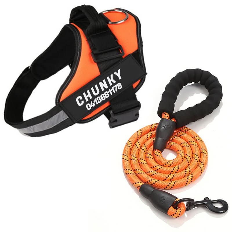 BowLift | Safety Dog Harness with Name Tag & Reflectors