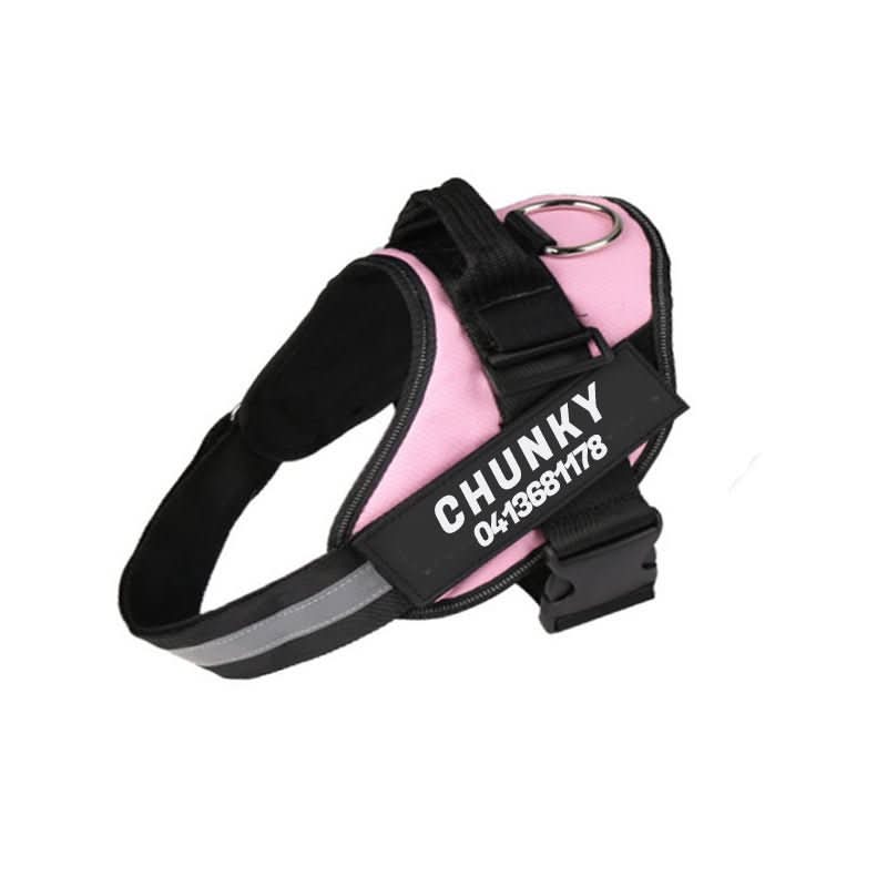 BowLift | Safety Dog Harness with Name Tag & Reflectors