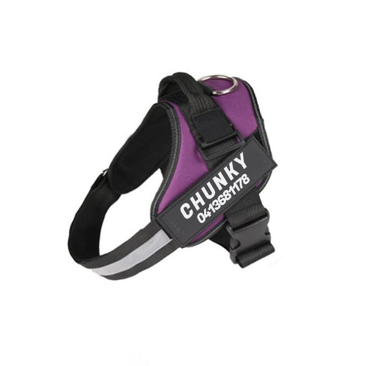 BowLift | DOGSAFE HARNESS – Safety dog harness with name tag & reflectors