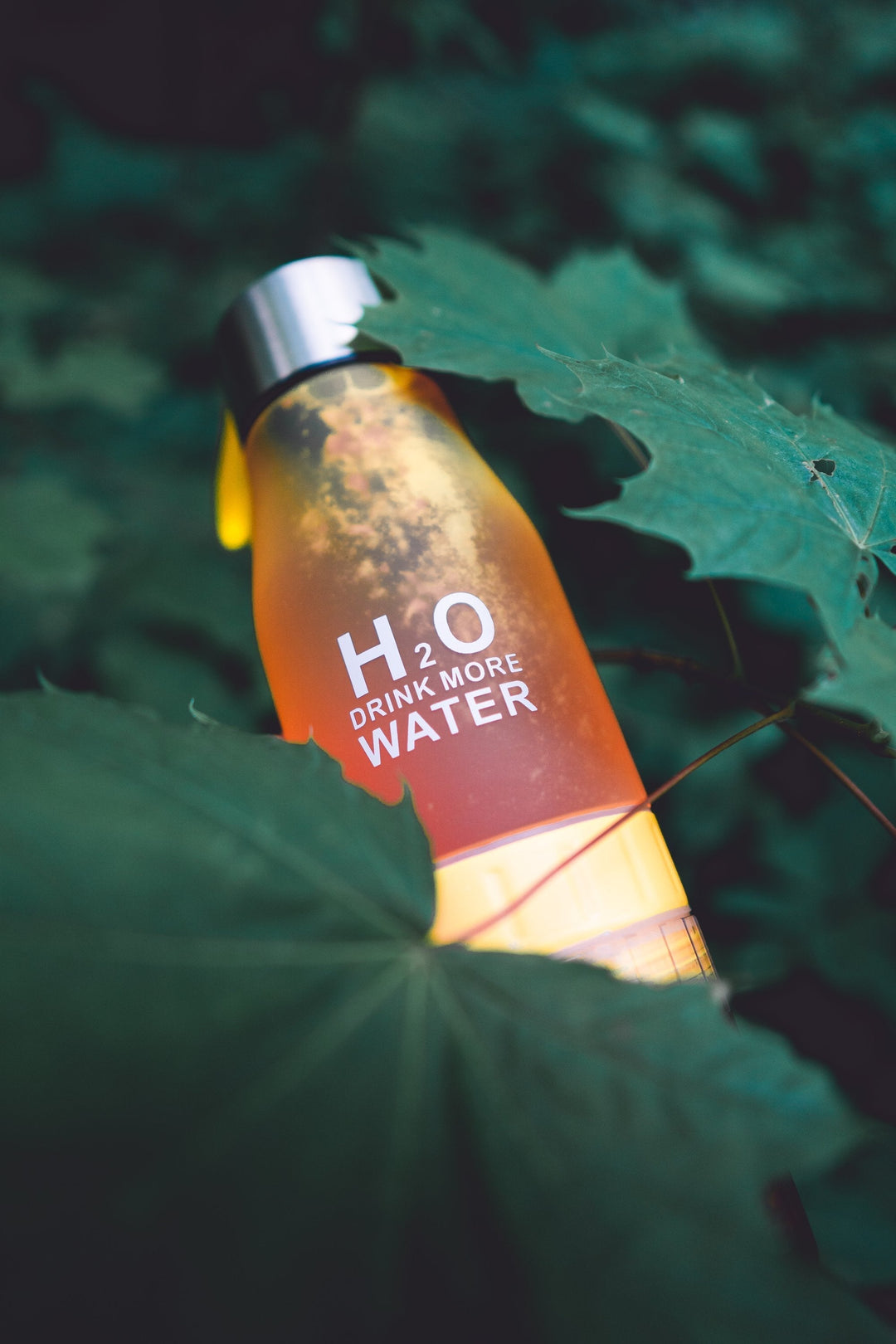 H²O Fruit Infusion Water Bottle | Bowlift