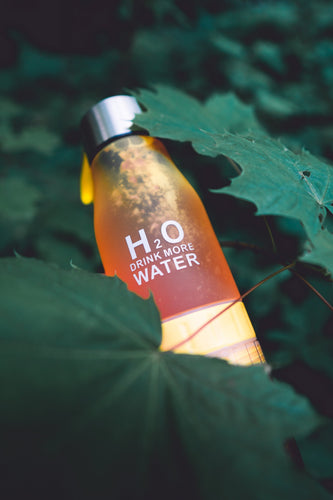 H²O Fruit Infusion Water Bottle | Bowlift