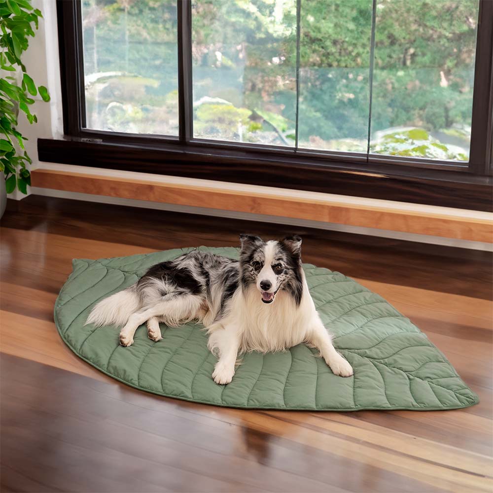 BowLift | Dog Blanket Mat for Large Pets