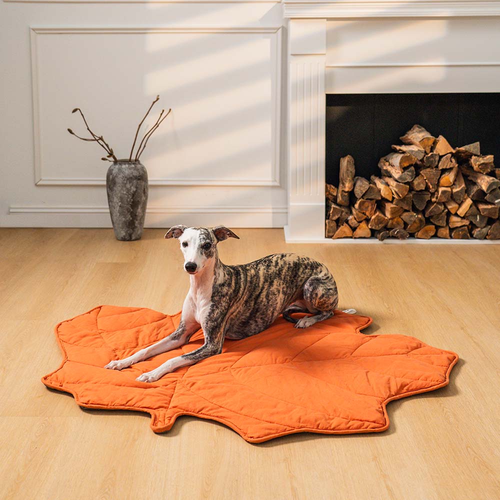 BowLift | Dog Blanket Mat for Large Pets
