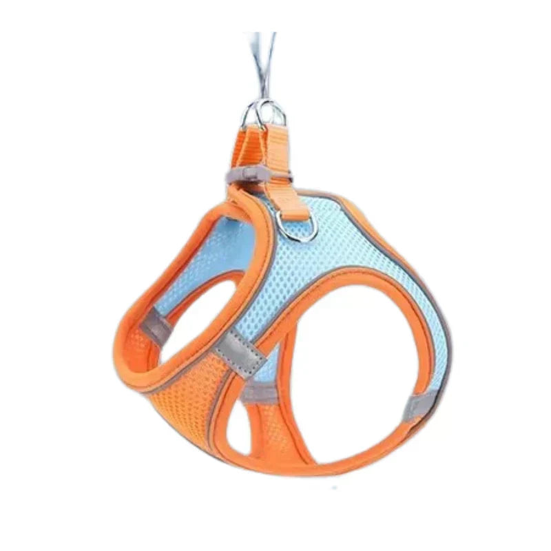 Adventurous Cat Harness with Leash – Adjustable and Reflective | Bowlift