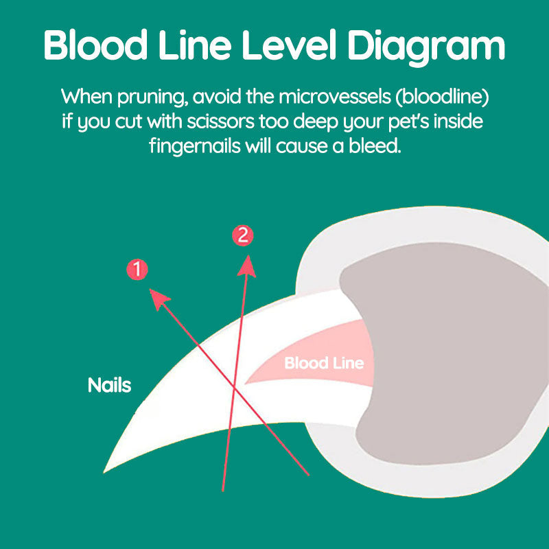 BowLift | Best Dog Nail Clipper With Quick Sensors