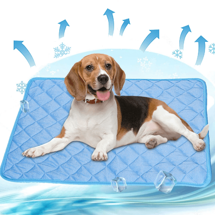 BowLift | Self-cooling dog mat to prevent overheating in summer