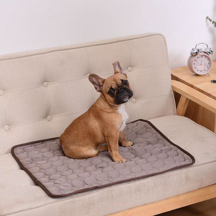 BowLift | Self-cooling dog mat to prevent overheating in summer