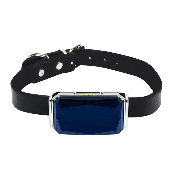 Pet GPS Tracker - Real-Time Location Tracking System for Pets | Bowlift