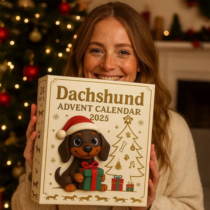 BowLift | Dog Advent Calendar Christmas Gift Collectible Figurines Set