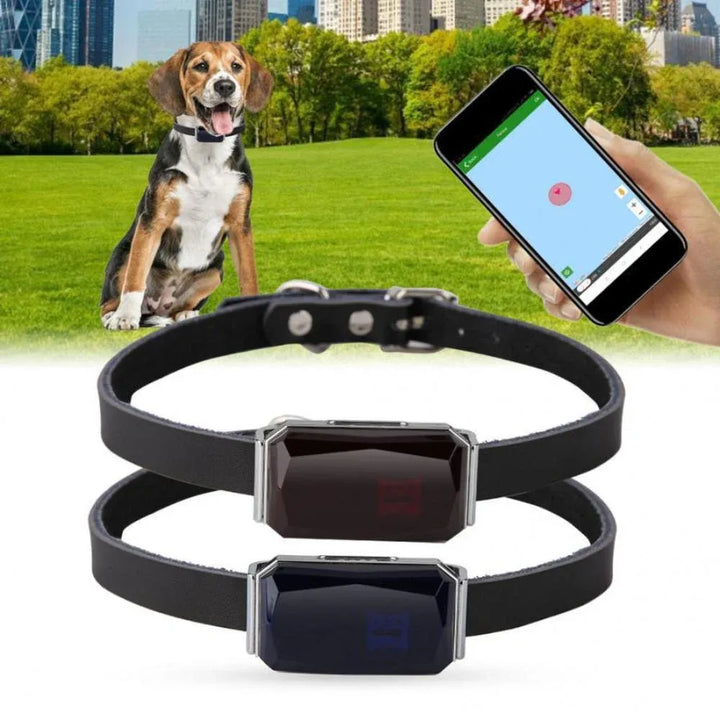 Pet GPS Tracker - Real-Time Location Tracking System for Pets | Bowlift