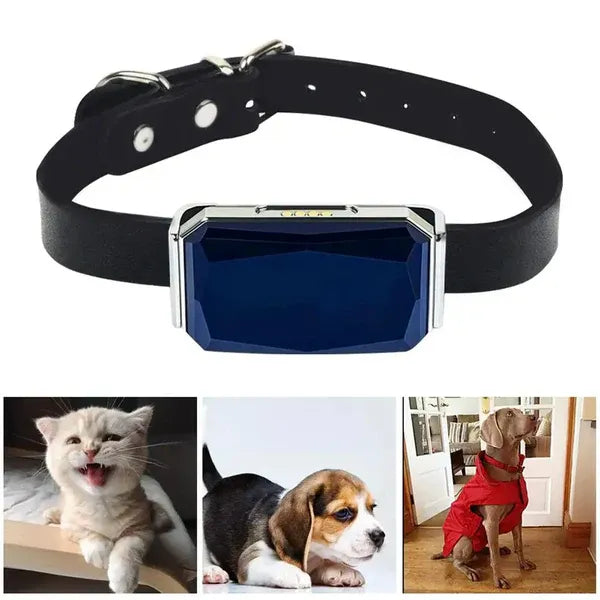 Pet GPS Tracker - Real-Time Location Tracking System for Pets | Bowlift
