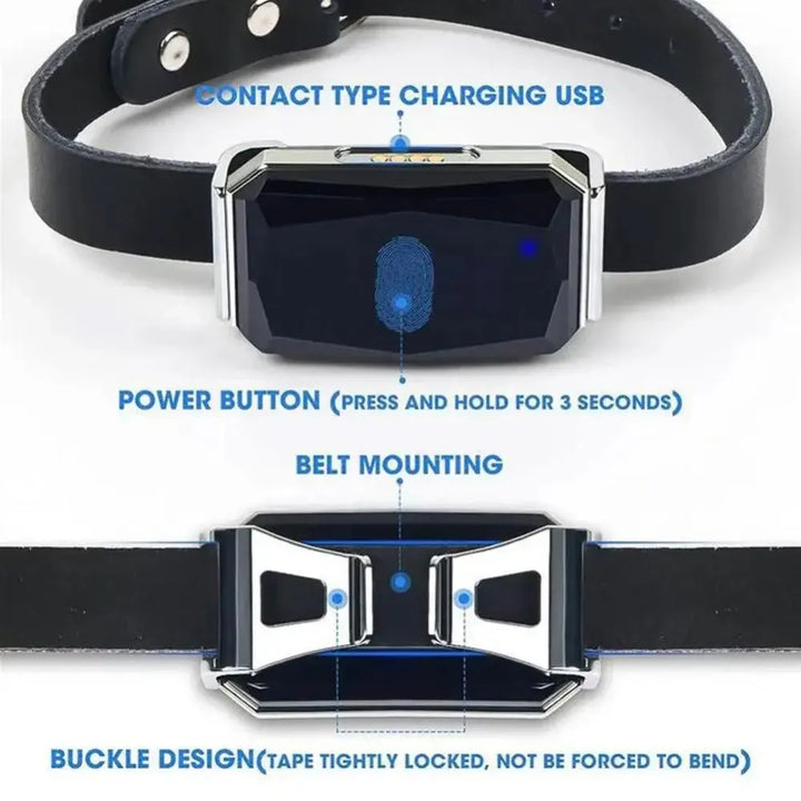 Pet GPS Tracker - Real-Time Location Tracking System for Pets | Bowlift