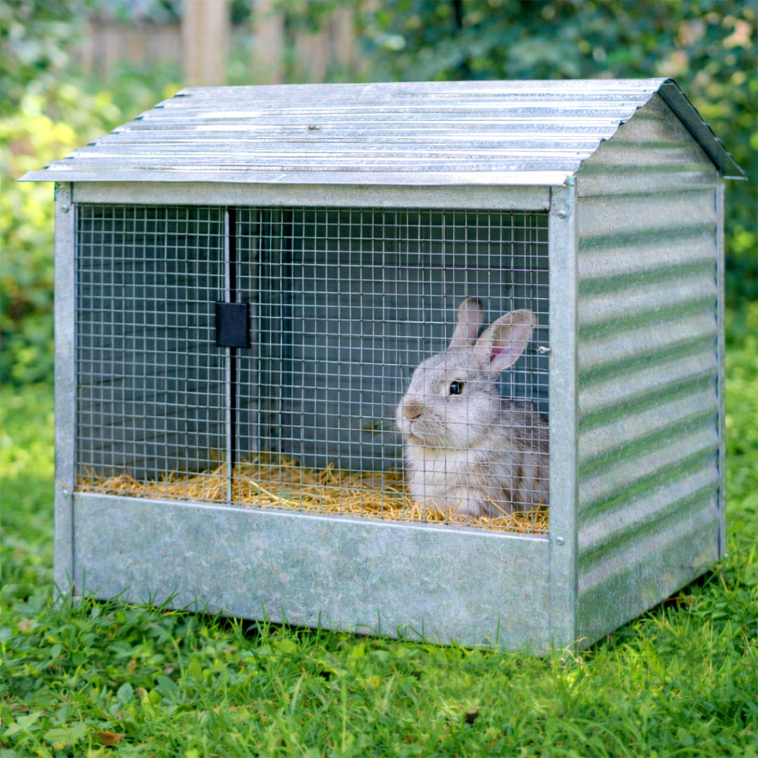 Wire mesh Galvanized 5m/10m Aviary wire Mole mesh | Bowlift