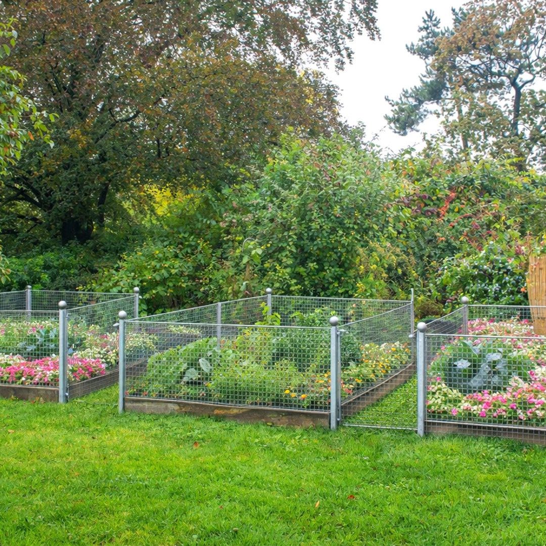 Wire mesh Galvanized 5m/10m Aviary wire Mole mesh | Bowlift