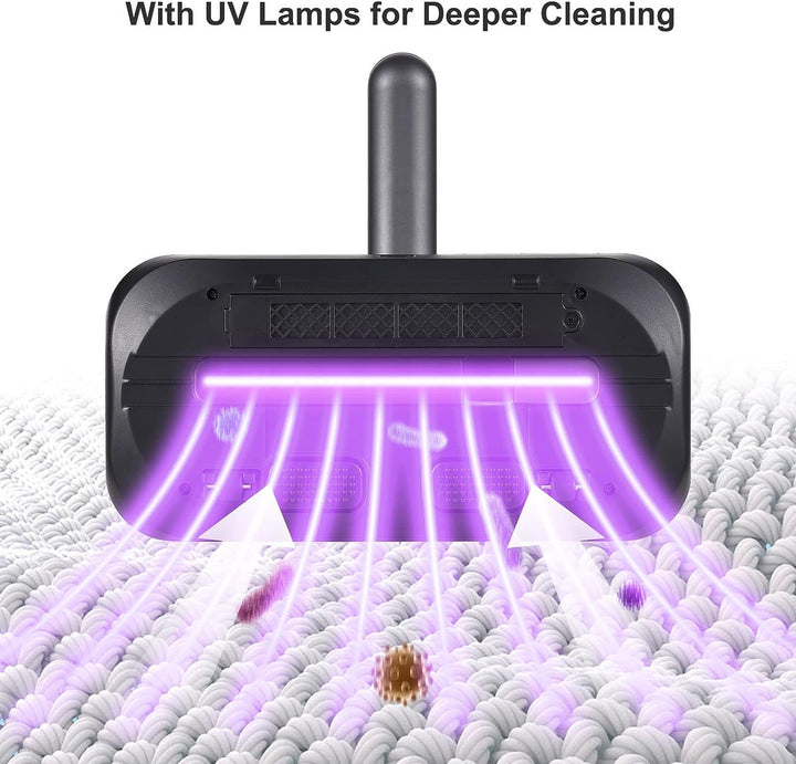 Dust Vacuum & Iron - Furniture, Bedsheets, Beds & Other Household Bowlift