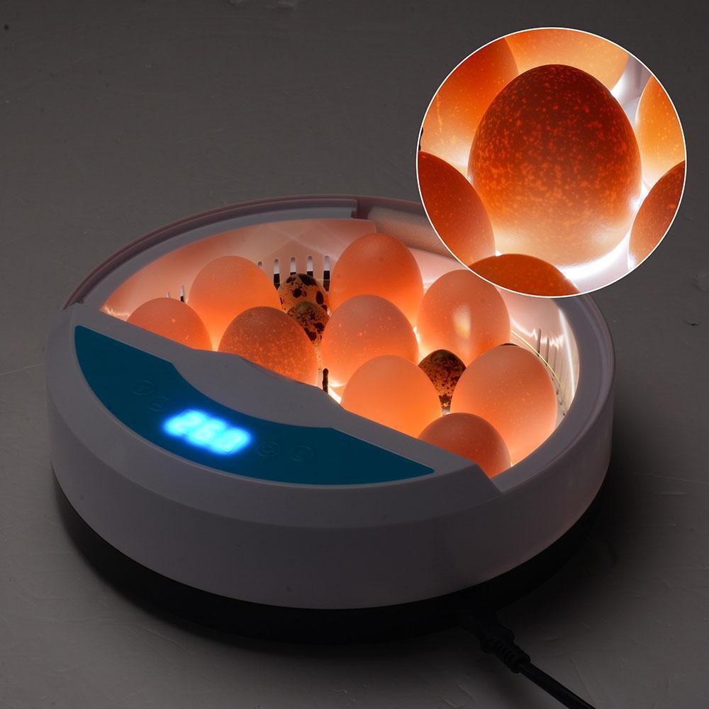 BowLift | Egg Incubator for Chicken Eggs Incubator for Egg Hatching Chicks with Temp Control LED Chicken Hatcher