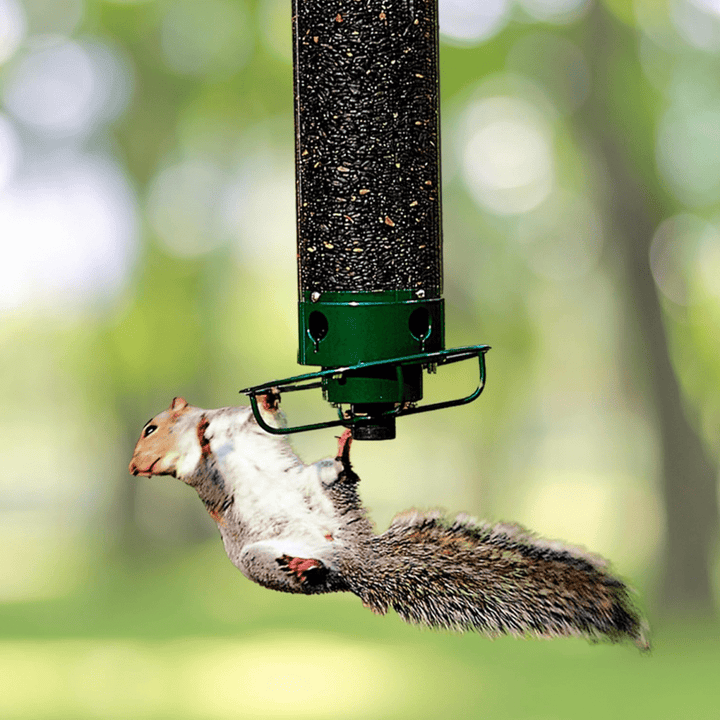 BowLift | Squirrel-Proof Birdhouse with Rotating Perch