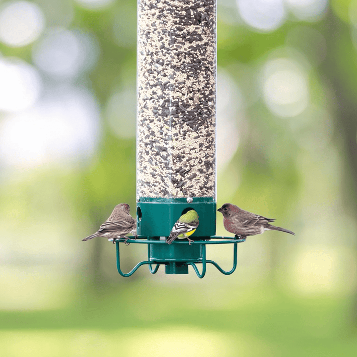 BowLift | Squirrel-Proof Birdhouse with Rotating Perch