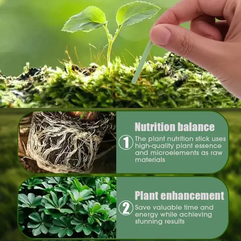 BowLift | Easy-to-use plant nutrient sticks for vibrant growth